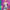 AIKAイベント開催！